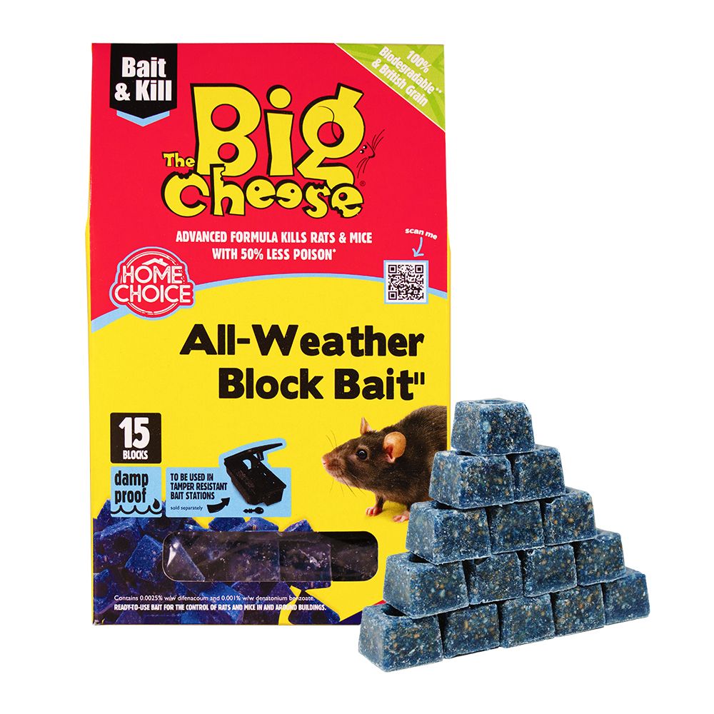 big cheese